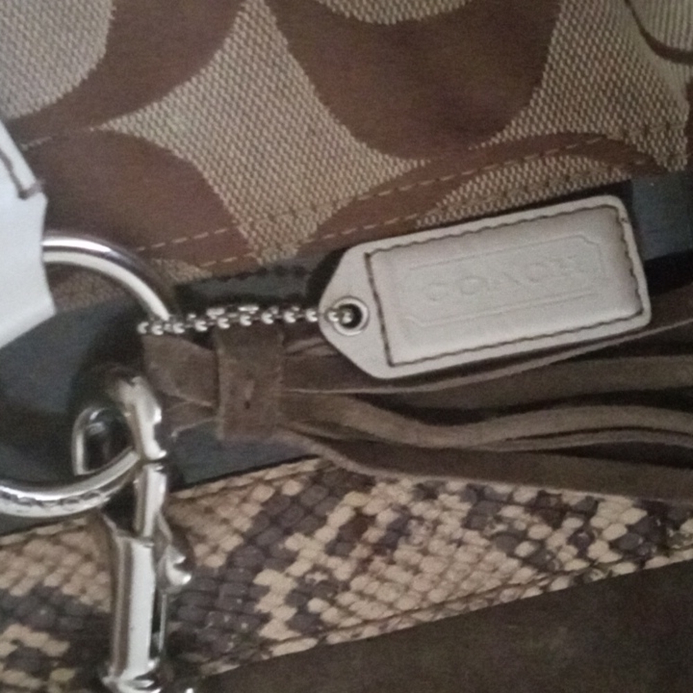 Coach Signature C Python Middle Bag - image 2